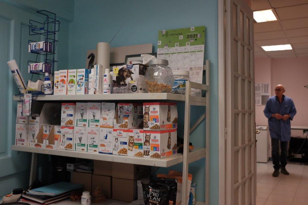 Galerie - Veterinaire Puteaux Lalue #3