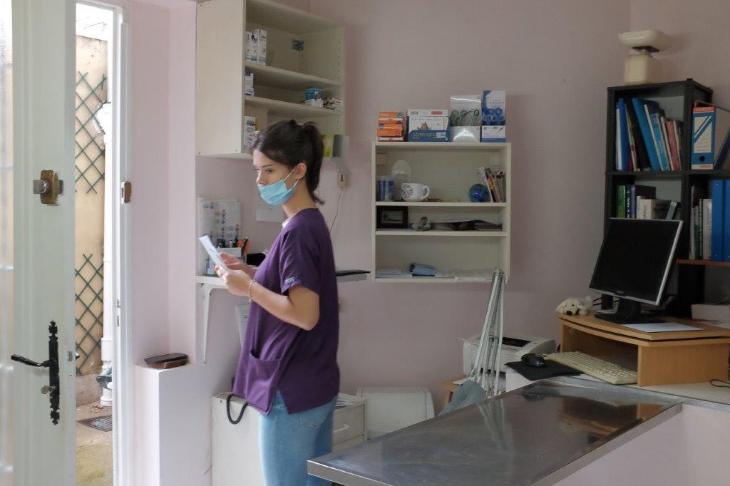 Galerie - Veterinaire Puteaux Lalue #2