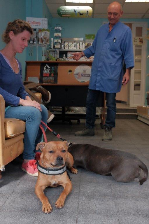 Galerie - Veterinaire Puteaux Lalue #18