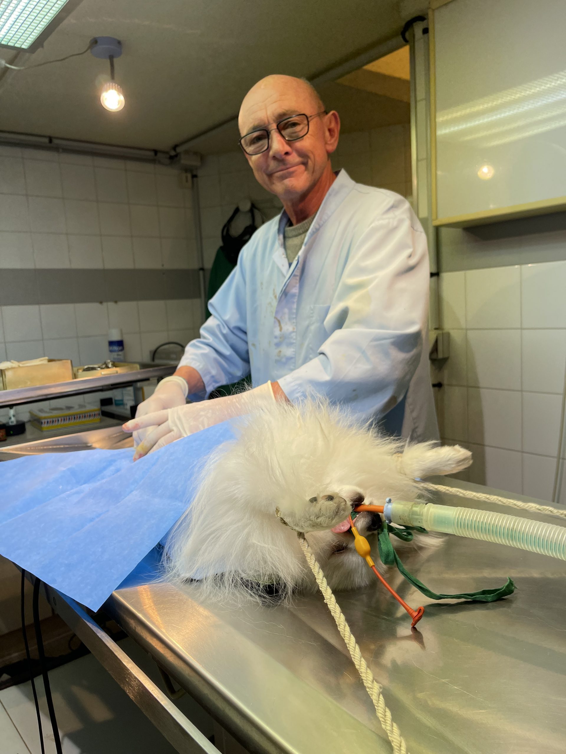 Galerie - Veterinaire Puteaux Lalue #27