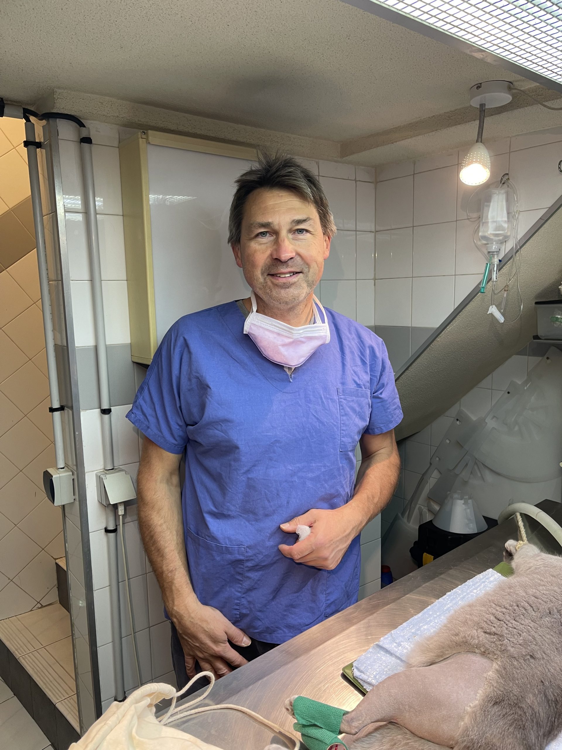 Galerie - Veterinaire Puteaux Lalue #24